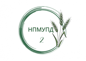 program