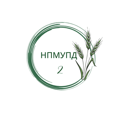 program